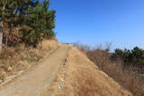 韓国 西生浦倭城の写真