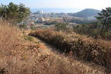 韓国 西生浦倭城の写真