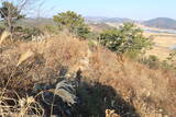韓国 西生浦倭城の写真