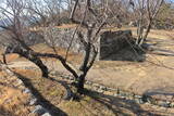 韓国 西生浦倭城の写真