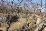 韓国 西生浦倭城の写真