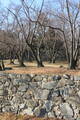 韓国 西生浦倭城の写真