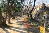 韓国 西生浦倭城の写真
