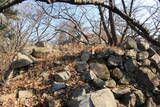 韓国 西生浦倭城の写真