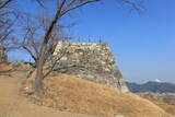 韓国 西生浦倭城の写真