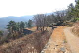 韓国 西生浦倭城の写真