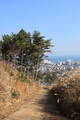 韓国 西生浦倭城の写真