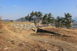 韓国 西生浦倭城の写真