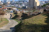 韓国 西生浦倭城の写真