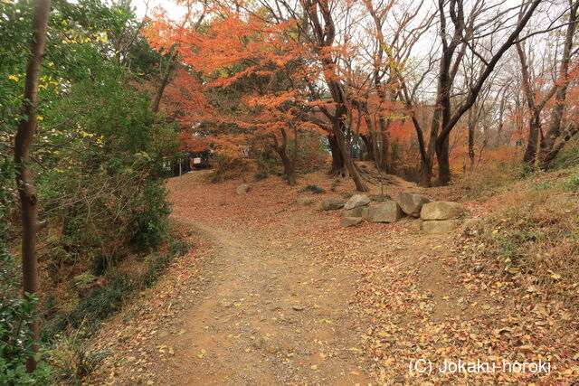 韓国 東莱倭城の写真