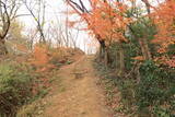 韓国 東莱倭城の写真
