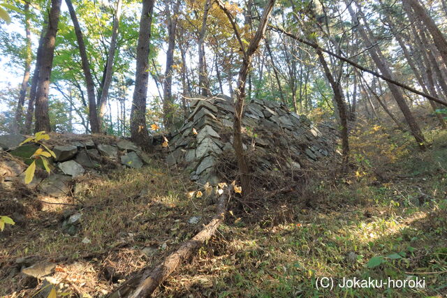 韓国 熊川倭城の写真