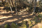 韓国 熊川倭城の写真