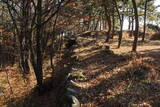 韓国 熊川倭城の写真