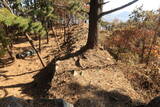 韓国 熊川倭城の写真