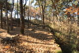 韓国 熊川倭城の写真