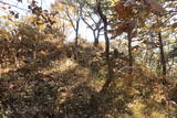 韓国 熊川倭城の写真