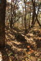 韓国 熊川倭城の写真