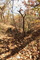 韓国 熊川倭城の写真