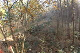韓国 熊川倭城の写真