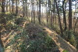 韓国 熊川倭城の写真