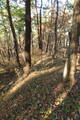 韓国 熊川倭城の写真