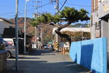 韓国 熊川邑城の写真