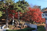 韓国 蔚山倭城の写真