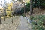 韓国 蔚山倭城の写真