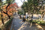 韓国 蔚山倭城の写真