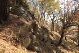 韓国 蔚山倭城の写真