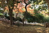 韓国 蔚山倭城の写真