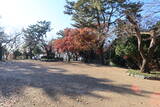 韓国 蔚山倭城の写真
