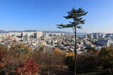 韓国 蔚山倭城の写真