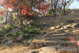 韓国 蔚山倭城の写真