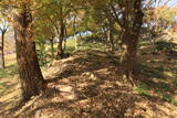 韓国 蔚山倭城の写真