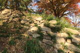 韓国 蔚山倭城の写真
