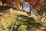 韓国 蔚山倭城の写真