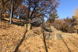韓国 蔚山倭城の写真
