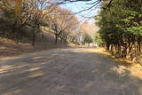 韓国 蔚山倭城の写真