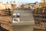 韓国 蔚山倭城の写真