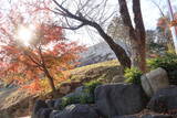 韓国 蔚山倭城の写真