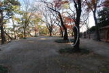 韓国 蔚山倭城の写真
