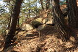 韓国 梁山倭城の写真