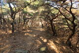 韓国 梁山倭城の写真