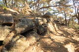 韓国 梁山倭城の写真
