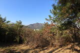 韓国 梁山倭城の写真