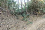 韓国 梁山倭城の写真