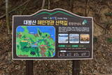 韓国 永登浦倭城の写真