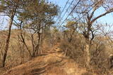 韓国 永登浦倭城の写真